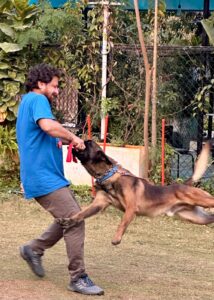 Progressive Canines: Building confident, happy companions through positive dog training.