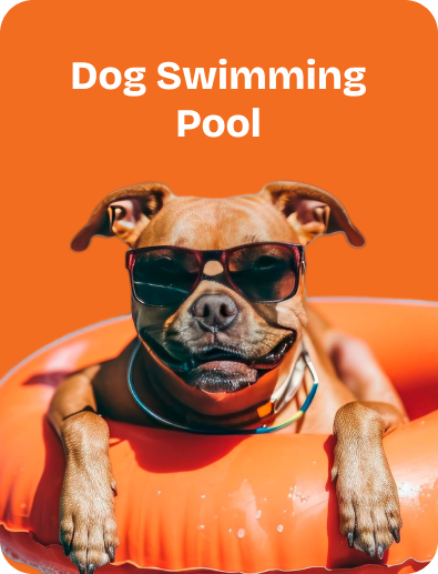 Dog Swimming Pool