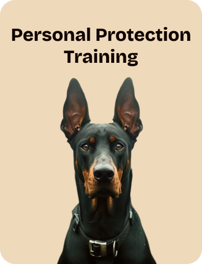 Personal Protection Training