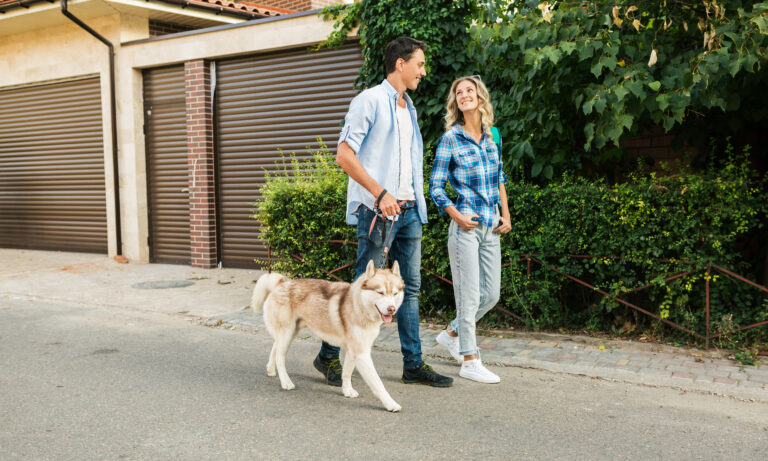 young stylish couple walking with dog in street, man and woman happy together, husky breed, summer season, denim casual style