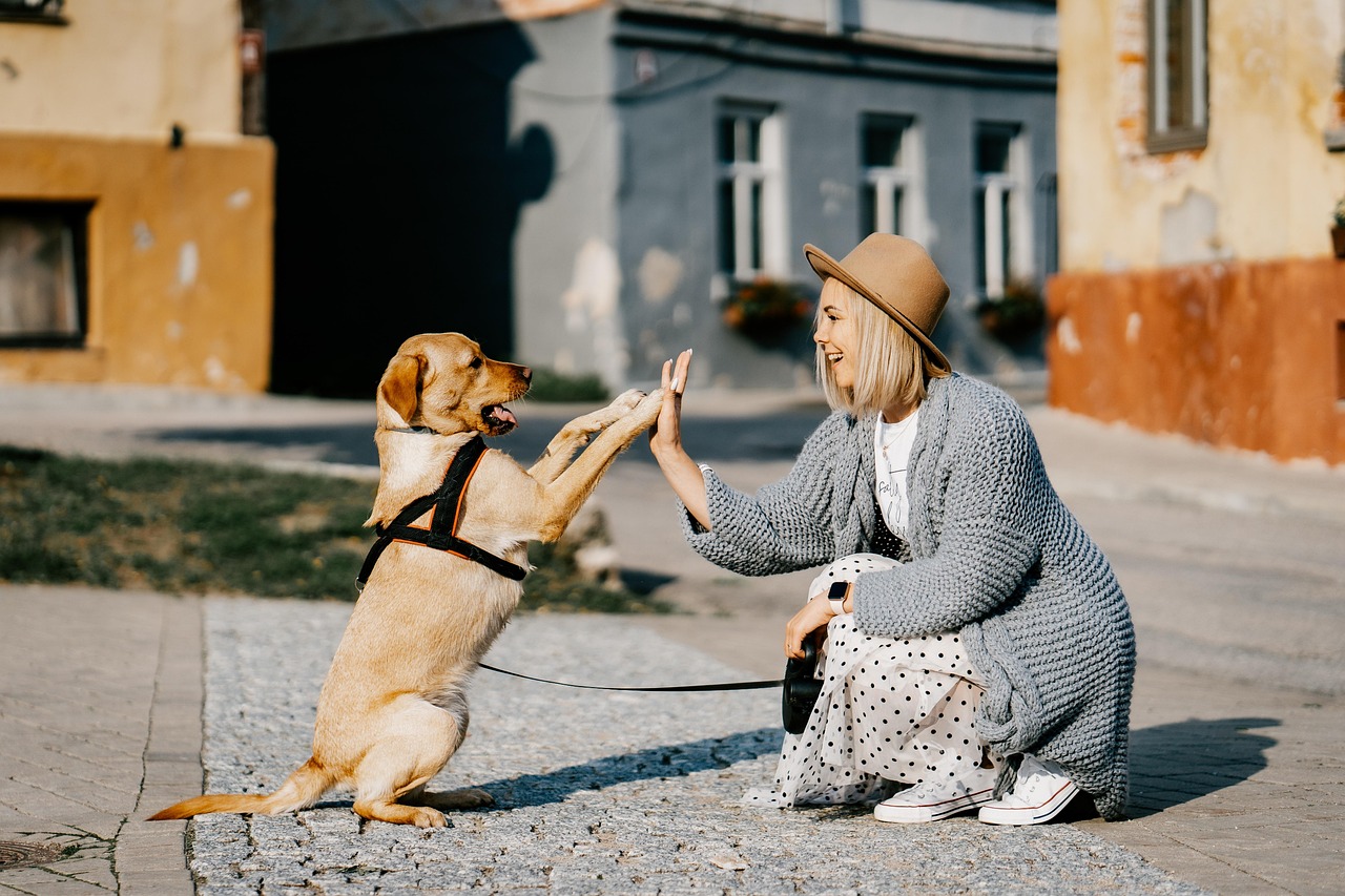 girl, dog, pet, friendship, nature, companion, owner, caucasian, blonde, caucasian female, blonde female, canine, domestic dog, doggy, happy, animal, love, woman, cute, puppy