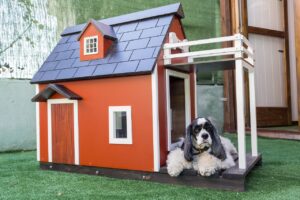 kennels for pets, dog houses, animal, wooden houses for dogs, mascot, pet, nature, dog, animals