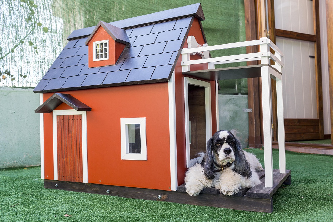 kennels for pets, dog houses, animal, wooden houses for dogs, mascot, pet, nature, dog, animals